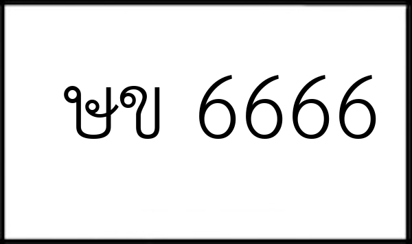 ษข 6666